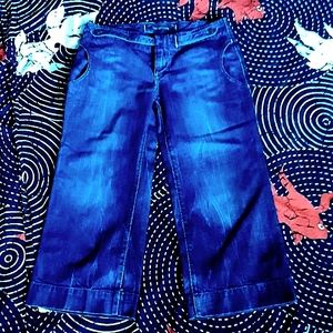 CITIZENS OF HUMANITY wide leg jeans